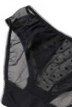 画像14: EBONY brief  | ノーマルショーツ | Sawren サブレン【即日発送・サイズ交換NG】※メール便対象※輸入下着・高級ランジェリー  (14)