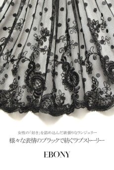 画像16: EBONY brief  | ノーマルショーツ | Sawren サブレン【即日発送・サイズ交換NG】※メール便対象※輸入下着・高級ランジェリー  (16)