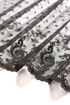 画像18: EBONY brief  | ノーマルショーツ | Sawren サブレン【即日発送・サイズ交換NG】※メール便対象※輸入下着・高級ランジェリー  (18)