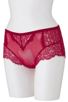 画像9: 在庫限り｜Mサイズ｜SCANDAL maxi brief  | ハイウエストショーツ・はき込み深め・シースルー  | Sawren サブレン【即日発送・サイズ交換NG】※メール便対象※輸入下着・高級ランジェリー（再入荷なし）  (9)