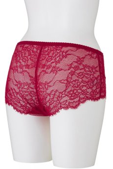 画像10: 在庫限り｜Mサイズ｜SCANDAL maxi brief  | ハイウエストショーツ・はき込み深め・シースルー  | Sawren サブレン【即日発送・サイズ交換NG】※メール便対象※輸入下着・高級ランジェリー（再入荷なし）  (10)