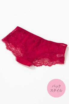 画像12: 在庫限り｜Mサイズ｜SCANDAL maxi brief  | ハイウエストショーツ・はき込み深め・シースルー  | Sawren サブレン【即日発送・サイズ交換NG】※メール便対象※輸入下着・高級ランジェリー（再入荷なし）  (12)