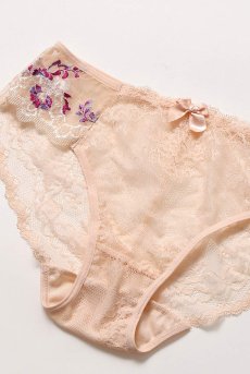 画像13: FLORA brief  | ノーマルショーツ・アプリコットピンク・シースルー | Sawren サブレン【即日発送・サイズ交換NG】※メール便対象※輸入下着・高級ランジェリー （在庫限り） (13)