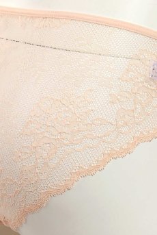 画像15: FLORA brief  | ノーマルショーツ・アプリコットピンク・シースルー | Sawren サブレン【即日発送・サイズ交換NG】※メール便対象※輸入下着・高級ランジェリー （在庫限り） (15)