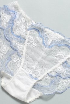 画像13: CLOUD brief  | ノーマルショーツ×ブルー・シースルー | Sawren サブレン【即日発送・サイズ交換NG】※メール便対象※輸入下着・高級ランジェリー  (13)