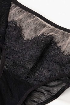 画像13: WONDERLUST brief  | ノーマルショーツ・ブリーフ・シースルー | Sawren サブレン【即日発送・サイズ交換NG】※メール便対象※輸入下着・高級ランジェリー (在庫限り) (13)