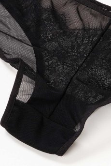 画像15: WONDERLUST brief  | ノーマルショーツ・ブリーフ・シースルー | Sawren サブレン【即日発送・サイズ交換NG】※メール便対象※輸入下着・高級ランジェリー (在庫限り) (15)