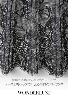 画像15: WONDERLUST maxi soft  | 一枚レースブラジャー・ノンパテッドブラ | Sawren サブレン【即日発送】輸入下着・高級ランジェリー (在庫限り) (15)