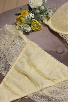 画像18: AMARELO thong  | タンガ・Ｔバック・イエロー | Sawren サブレン【即日発送・サイズ交換NG・メール便対象】輸入下着・高級ランジェリー  (18)