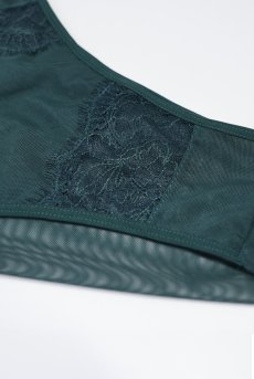 画像5: FOREST brief  | ノーマルショーツ・ブリーフ・グリーン | Sawren サブレン【即日発送・サイズ交換NG・メール便対象】輸入下着・高級ランジェリー  (5)