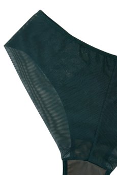 画像7: FOREST brief  | ノーマルショーツ・ブリーフ・グリーン | Sawren サブレン【即日発送・サイズ交換NG・メール便対象】輸入下着・高級ランジェリー  (7)