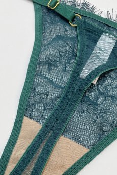 画像12: FOREST thong  | タンガ・Ｔバック・グリーン | Sawren サブレン【即日発送・サイズ交換NG・メール便対象】輸入下着・高級ランジェリー  (12)