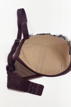 画像9: VELOUTE push  | 3/4カップ・ワイヤーブラ・ブラウン | Sawren サブレン【即日発送】インポート・輸入下着・高級ランジェリー  (9)