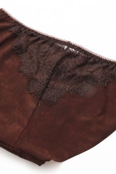 画像7: VELOUTE brief  | ノーマルショーツ・ブリーフ・ブラウン | Sawren サブレン【即日発送・サイズ交換NG・メール便対象】輸入下着・高級ランジェリー  (7)