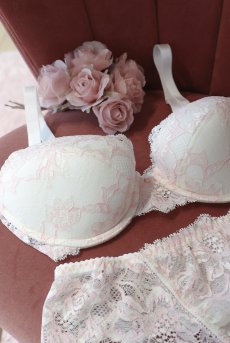 画像18: BLUSH push  | 3/4カップ・ワイヤーブラ・ピンク×クリーム | Sawren サブレン【即日発送】インポート・輸入下着・高級ランジェリー  (18)