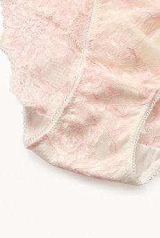 画像15: BLUSH brief  | ノーマルショーツ・ブリーフ・ピンク×クリーム | Sawren サブレン【即日発送・サイズ交換NG・メール便対象】輸入下着・高級ランジェリー  (15)