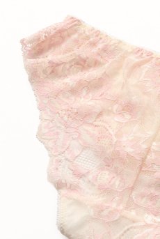画像17: BLUSH brief  | ノーマルショーツ・ブリーフ・ピンク×クリーム | Sawren サブレン【即日発送・サイズ交換NG・メール便対象】輸入下着・高級ランジェリー  (17)