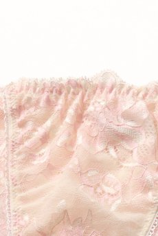 画像18: BLUSH brief  | ノーマルショーツ・ブリーフ・ピンク×クリーム | Sawren サブレン【即日発送・サイズ交換NG・メール便対象】輸入下着・高級ランジェリー  (18)