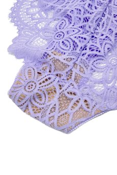 画像12: PROVENCE brief  | ノーマルショーツ・パープル | Sawren サブレン【即日発送・サイズ交換NG・メール便対象】輸入下着・高級ランジェリー  (12)