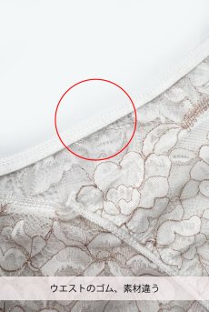 画像2: 【サンプル特別価格】Sサイズ｜FLEUR white brief  | ノーマルショーツ・総レース・ホワイト | Sawren サブレン輸入下着・高級ランジェリー  (2)