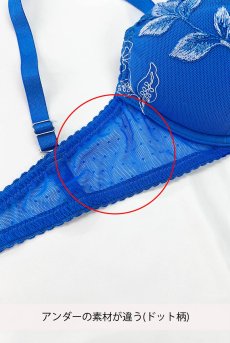 画像2: 【サンプル特別価格】70Dサイズ｜OCEAN push  | 3/4カップ・ワイヤーブラ | Sawren サブレンインポート・輸入下着・高級ランジェリー (在庫限り) (2)