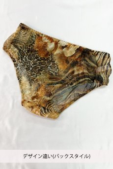 画像3: 【サンプル特別価格】Sサイズ｜LATTE brief  | ノーマルショーツ・ブリーフ・シースルー | Sawren サブレン※メール便対象商品※輸入下着・高級ランジェリー （再入荷なし） (3)