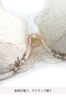 画像2: 【サンプル特別価格】70Dサイズ｜ESQUISSE push  | 3/4カップ・ワイヤーブラ・エクリュ | Sawren サブレンインポート・輸入下着・高級ランジェリー (再入荷なし) (2)