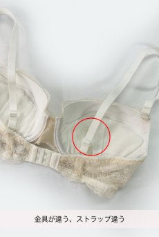 画像3: 【サンプル特別価格】70Dサイズ｜ESQUISSE push  | 3/4カップ・ワイヤーブラ・エクリュ | Sawren サブレンインポート・輸入下着・高級ランジェリー (再入荷なし) (3)