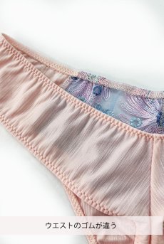 画像2: 【サンプル特別価格】Sサイズ｜BLOOM thong  | タンガ・Ｔバック・ピンク×ブルー | Sawren サブレン※メール便対象商品※輸入下着・高級ランジェリー  (2)