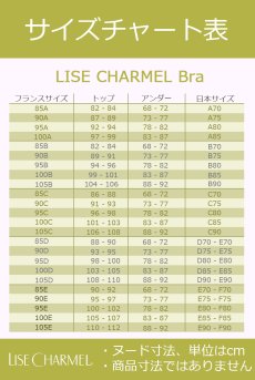 画像18: ACH6072-HB | Ligne H72 | フルカップブラ・ハイビスカス | Lise charmel リズシャルメル【サイズ交換NG・クーポン割引対象外】  輸入下着・高級ランジェリー   (18)