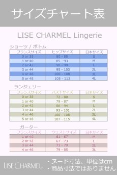 画像19: ACH6072-HB | Ligne H72 | フルカップブラ・ハイビスカス | Lise charmel リズシャルメル【サイズ交換NG・クーポン割引対象外】  輸入下着・高級ランジェリー   (19)