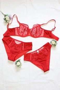 画像15: HARPER-red-C322 |ブラジリアンタンガ・レッド  | ewabien エヴァビアン【サイズ交換NG・メール便対象】輸入下着・高級ランジェリー  (15)