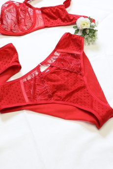 画像16: HARPER-red-C322 |ブラジリアンタンガ・レッド  | ewabien エヴァビアン【サイズ交換NG・メール便対象】輸入下着・高級ランジェリー  (16)