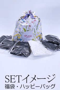 画像21: 【予約受付中】グラビア着用・セクシーランジェリー福袋｜オープンランジェリーなど豪華6点入り｜総額３万円相当｜【2026年1月以降に順次発送】輸入下着・Sexyランジェリー   (21)