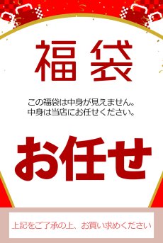 画像3: ブラ＆ショーツ福袋｜レースの透け感が美しい高級インポートブラジャー2枚＋ショーツ2枚入り｜総額4万円相当｜選べるショーツタイプ (3)