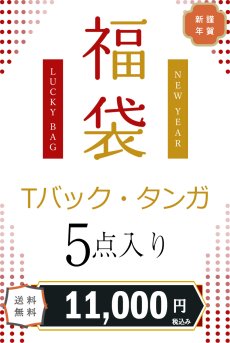 画像1: Tバック・タンガ福袋｜ヨーロッパの高級レースを贅沢に使用した高級インポートタンガ5枚入り｜総額4万円相当｜Tバックタイプ｜輸入下着・高級ランジェリー  【サイズ交換NG・メール便対象】 (1)