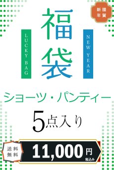 画像1: ショーツ福袋｜ヨーロッパの高級レースを贅沢に使用した、高級インポートショーツ5枚入り｜総額4万円相当｜ノーマルタイプ｜輸入下着・高級ランジェリー  【サイズ交換NG・メール便対象】 (1)