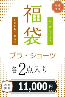 画像1: ブラ＆ショーツ福袋｜レースの透け感が美しい高級インポートブラジャー2枚＋ショーツ2枚入り｜総額4万円相当｜選べるショーツタイプ (1)