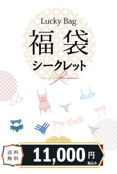 画像2: ブラ＆ショーツ福袋｜レースの透け感が美しい高級インポートブラジャー2枚＋ショーツ2枚入り｜総額4万円相当｜選べるショーツタイプ (2)