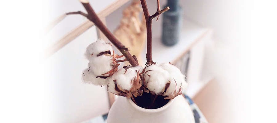 sachi・ロンドン発　肌が喜ぶコットン100％ランジェリー cottonreal
