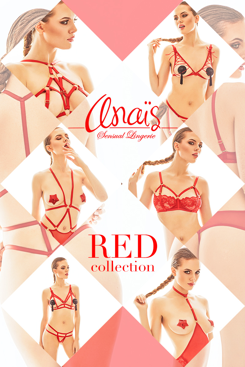 商品ラインナップ anais　アナイス ETTIE set