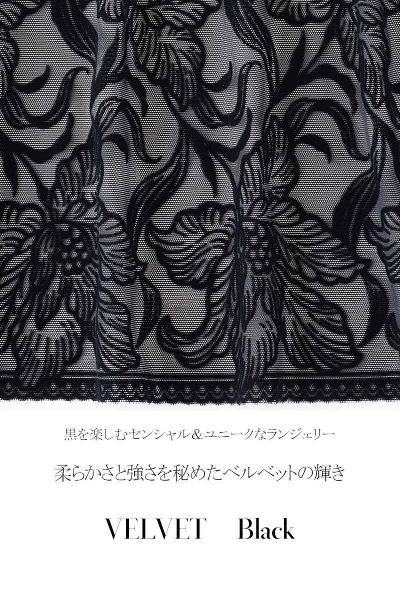 Ewa bien エヴァビアン 2022 A/W VELVET black B150　レース画像