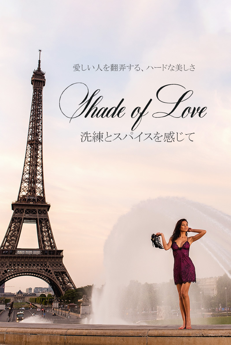 axami アクサミ Shades of Love V-6469　レース画像