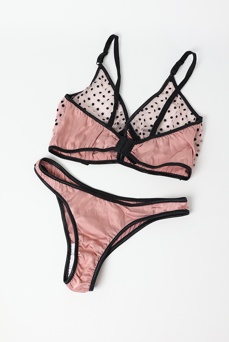 画像5: 【サンプル特別価格】Maria Antoaneta 2-pcs-set|ワイヤー入りブラジャー&ショーツセット・シースルー|ギフトBOX入り|ドット柄・未発表モデル・サンプル・見本品|LA MUSA ラミューザ【即日発送・サイズ交換NG】輸入下着・ 高級ランジェリー   (5)